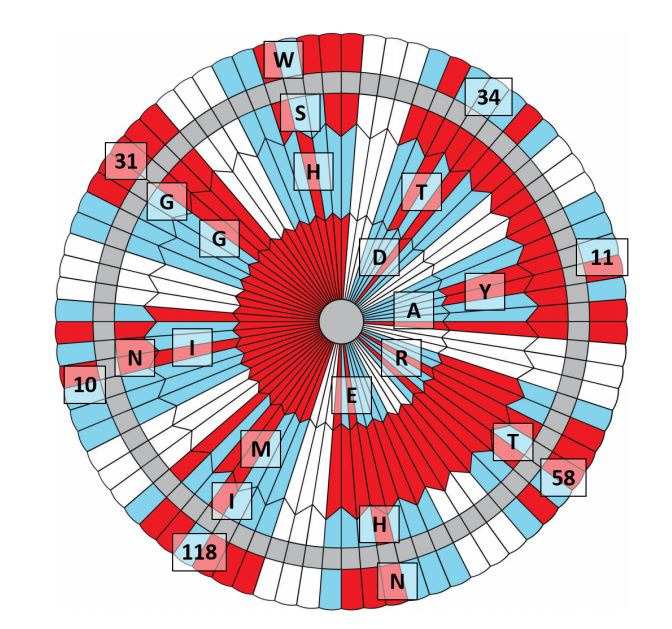 Reading the Mars Parachute Code