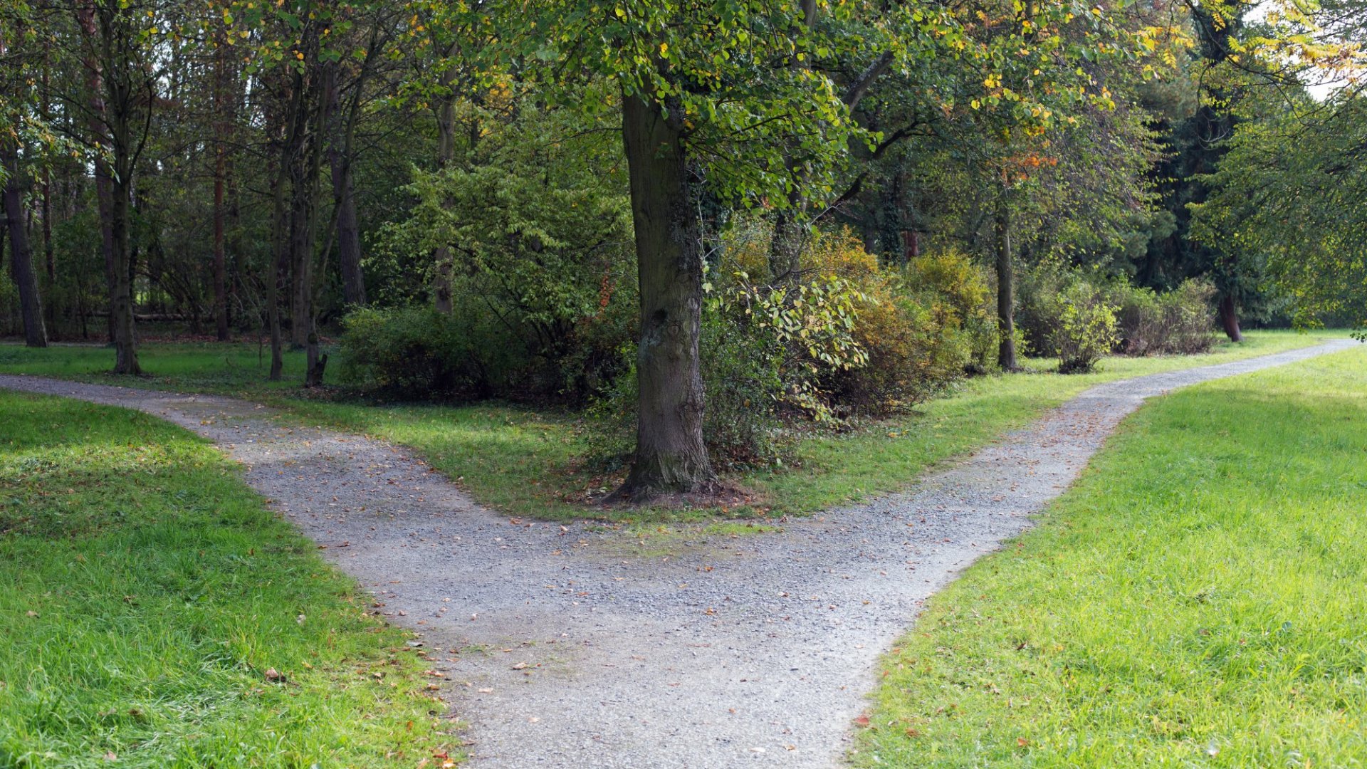 Commercial Pilots and the CFI Crossroads