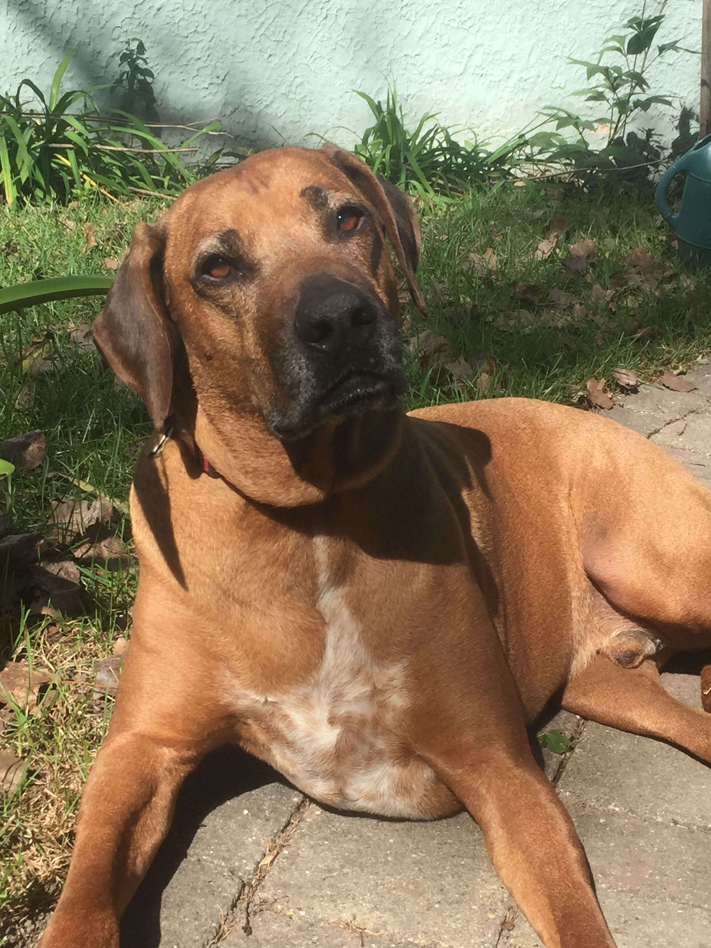 Jetwhine Loses a Friend